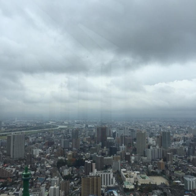 雨でも大人ピクニック楽しみました