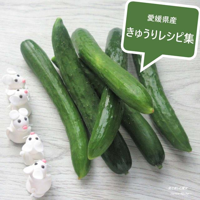 きゅうり６レシピ集。愛媛県産の夏野菜。JA全農えひめ×レシピブログモニターコラボ♪