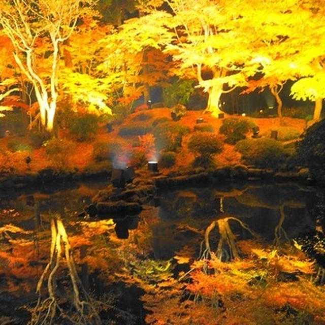 松島『円通院』紅葉ライトアップ見学