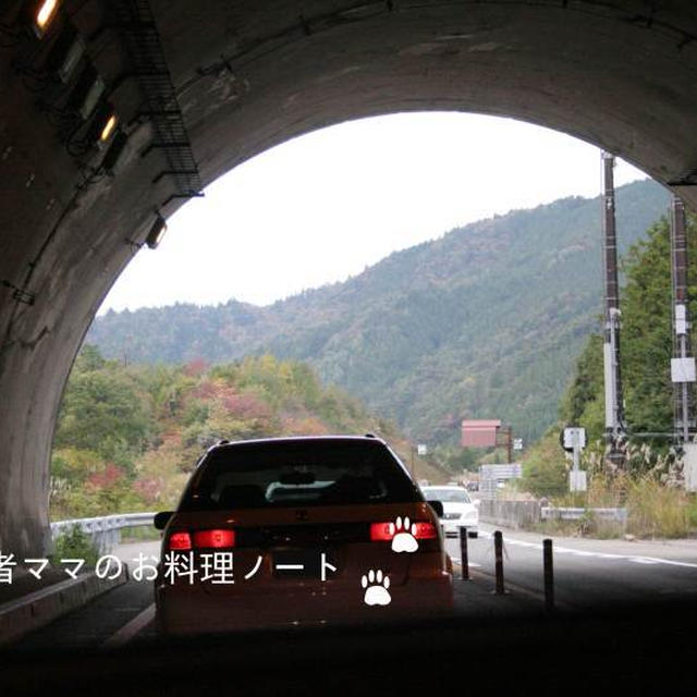 白川郷に行ってきました