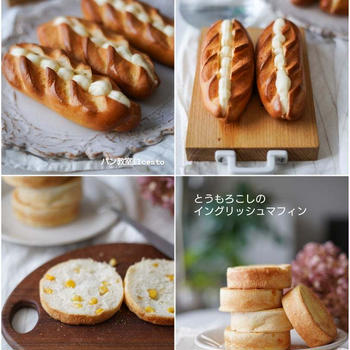 ６月のメニューのご案内です