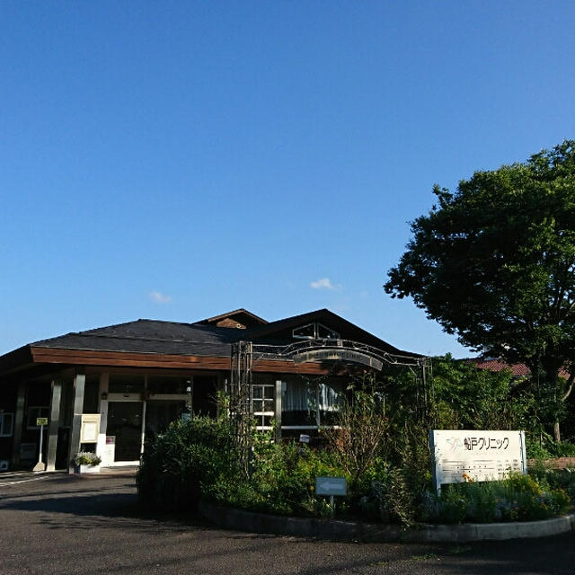 一気に梅雨明け！そして、１年経ちました。