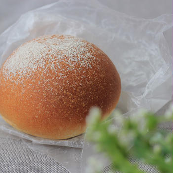 今日のパン　ホシノ天然酵母で作る「まんまるパン」
