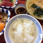 まいどおおきに食堂半額セール再び