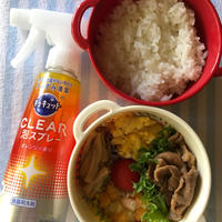 今日と昨日のお弁当とその他♪