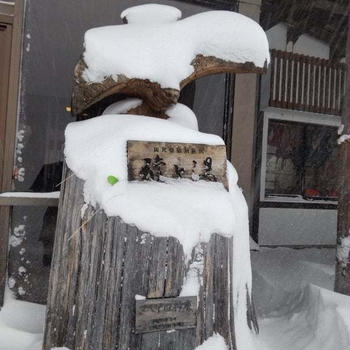 【コラム更新】雪はどうして白い？雪の日は静かなのはなぜ？理由を解説します！