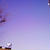 夕空
