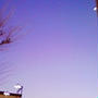 夕空