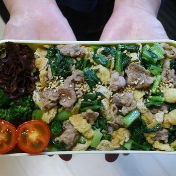 2023/9/22のパートナーの相棒のボリューミーお弁当 【#お弁当】【1945個目】