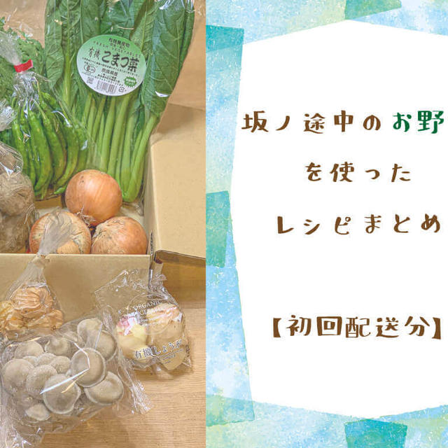 【野菜通販】「坂ノ途中」の野菜を使ったレシピまとめ【初回配送分】