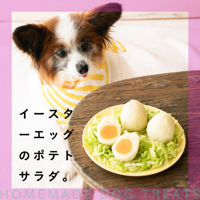 じゃがいもとかぼちゃで作れる犬おやつレシピ わんこの感想 By 犬ごはん先生 いちかわあやこさん レシピブログ 料理ブログのレシピ満載