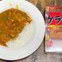 南インド風チキンカレー　ケララカレー作ってもらった件