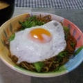 旬のキャベツ焼きそば　横手やきそば風
