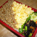 二色そぼろ弁当
