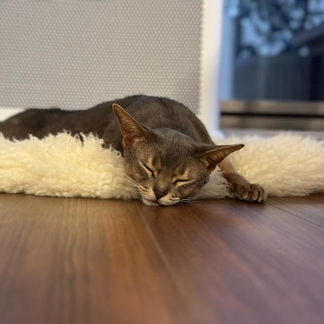 おはぎが伸びた
