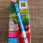 頻繁に帰国していても、まだまだびっくり日本