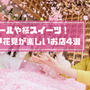 インドア花見が東京で楽しめる居酒屋４選！メニュー・値段・期間は？