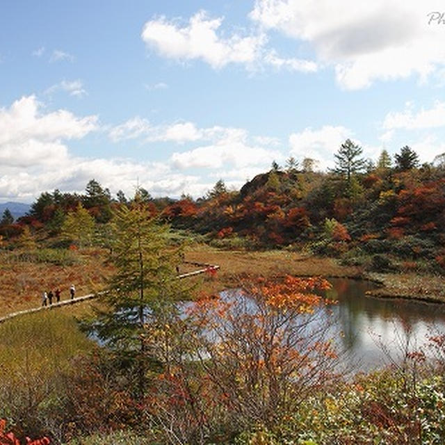 草津白根山の紅葉　No.1