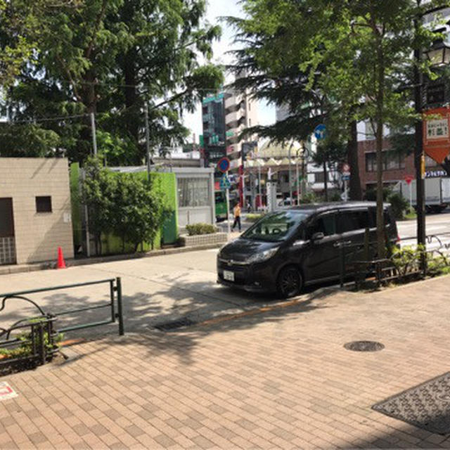 夏はやっぱり大根おろし！（動画あり）
