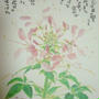 19年