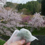 旅先スイーツ#今日のおやつはこれ