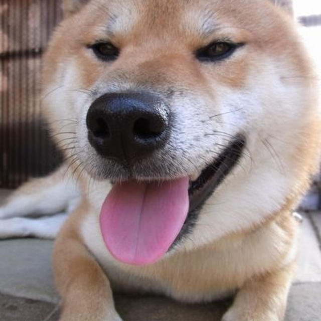 テンションが上がる。