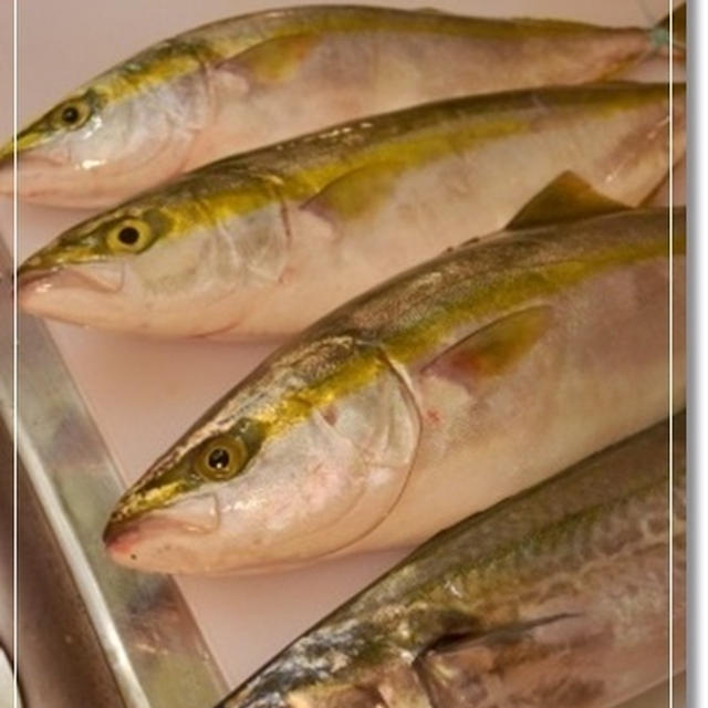 連休中の旦那様の釣果とヨシダソース！