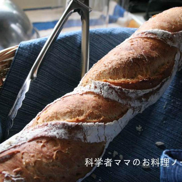 自家製天然酵母パン～成型とクープの関係