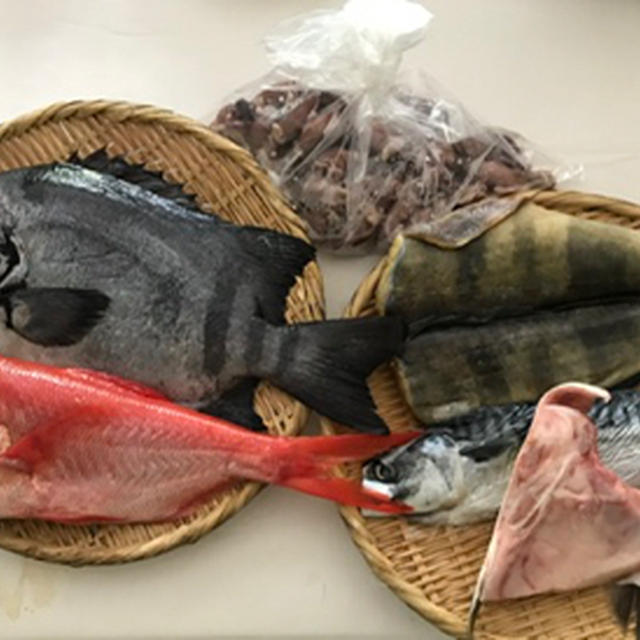石鯛のお刺身 ホタルイカと菜の花の芥子酢味噌和え By Mchappykunさん レシピブログ 料理ブログのレシピ満載