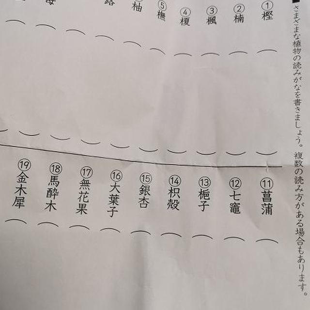 薬局にあった漢字ドリル