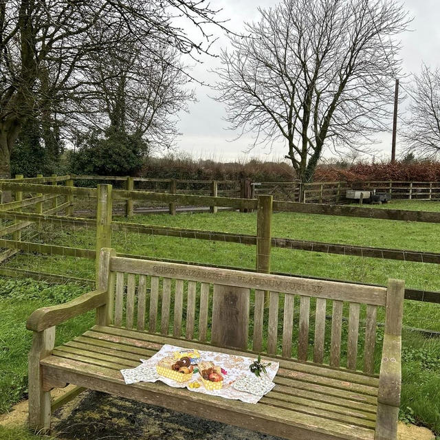 イギリスのランチボックスを持って雨の散歩