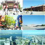東京・神奈川観光