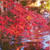 乙宝寺の紅葉