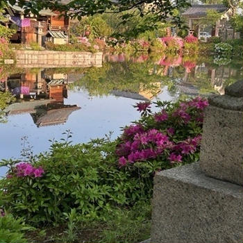 身体を休める日