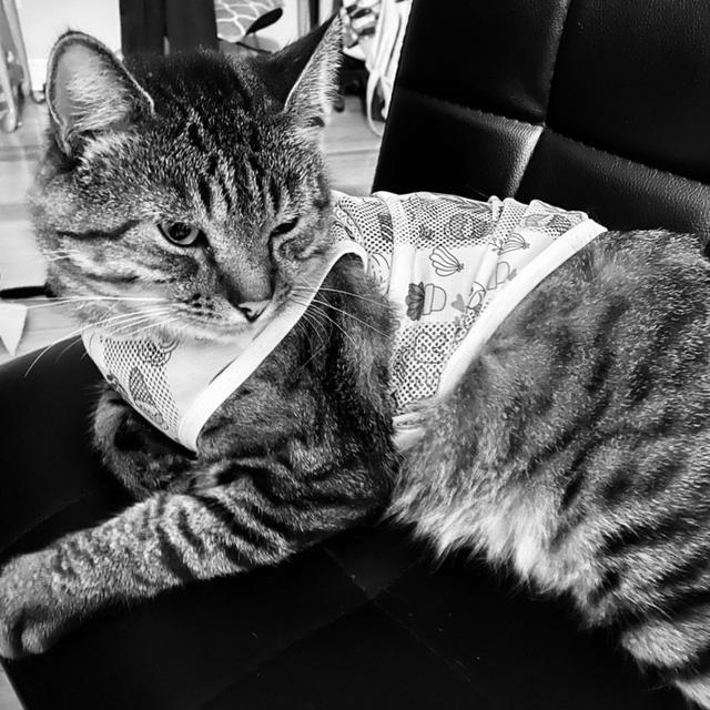 今日この頃.....