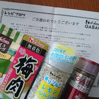 スパイスでお料理上手　さっぱり＆おいしい♪夏の時短レシピ☆モニター当選☆