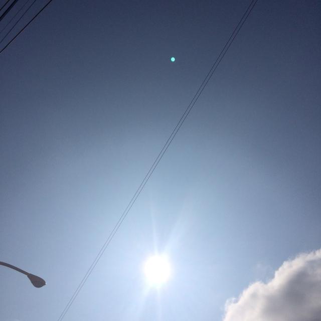 ７月だーー！