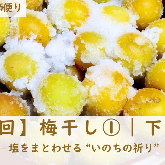 【第4回】梅干し①｜下漬け編