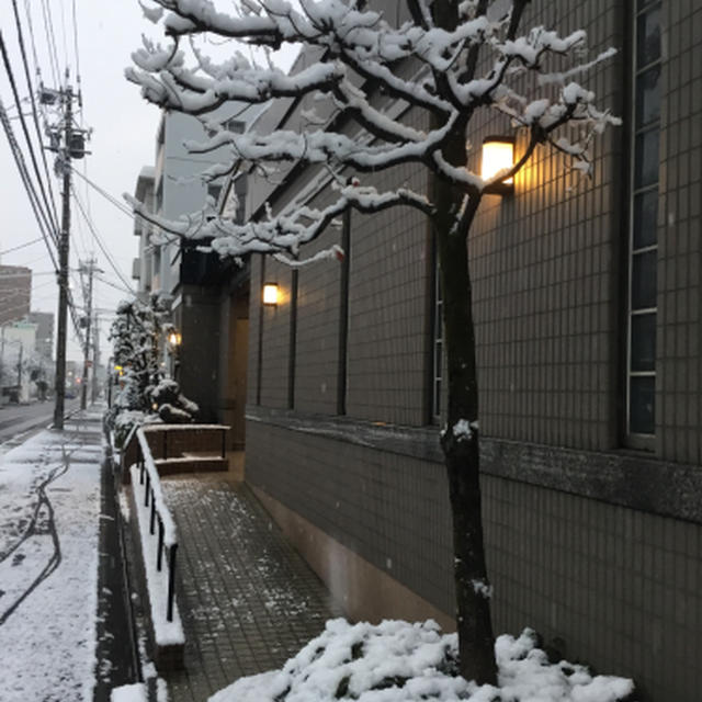 名古屋の朝は雪降ってます