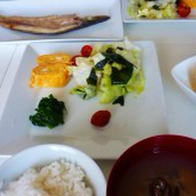 今日の朝食