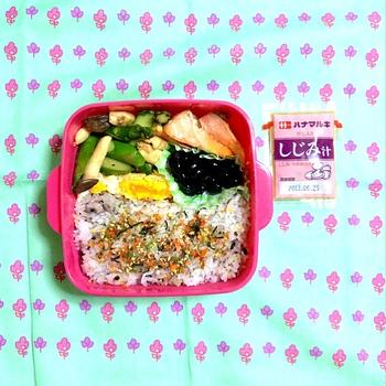 詰め替えてクズれた鮭入り弁当（39日目）