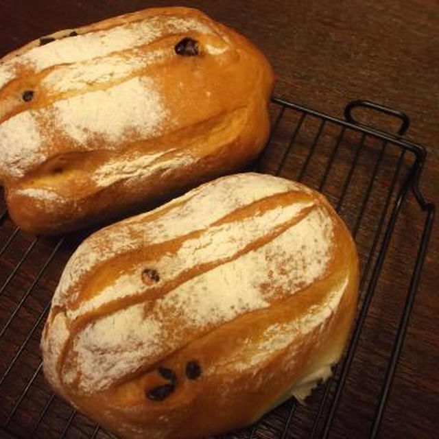 木漏れ日ベーカリー♪チョコチップミルクハース☆と、過発酵脱出への道。。