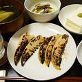 タケノコの季節なのである。