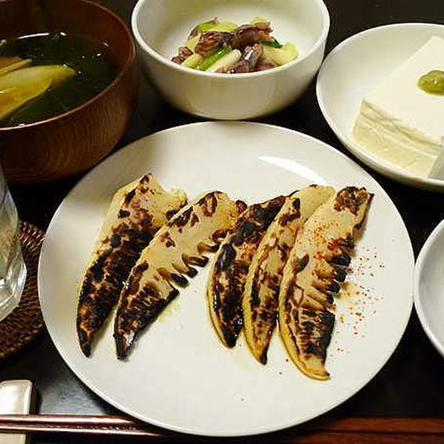 タケノコの季節なのである。