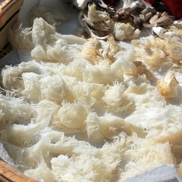 干しヤマブシダケ～天気の良い日は食材のひなたぼっこDayです。