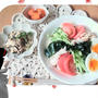 【連載】自家製つけ汁で『夏野菜のサラダうどん』美肌レシピで定食を