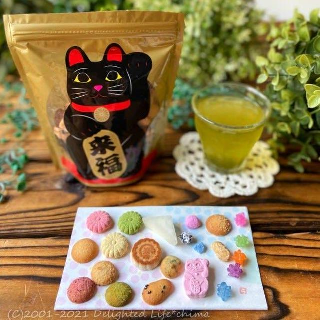 菊廼舎 冨貴寄「にゃんにゃん」