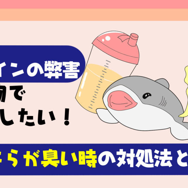 【筋トレ必見】プロテインでおならが臭い時の対処法【食べ物で改善する方法を徹底解説】