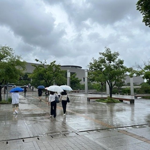 雨の日の観光