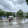 雨の日の観光